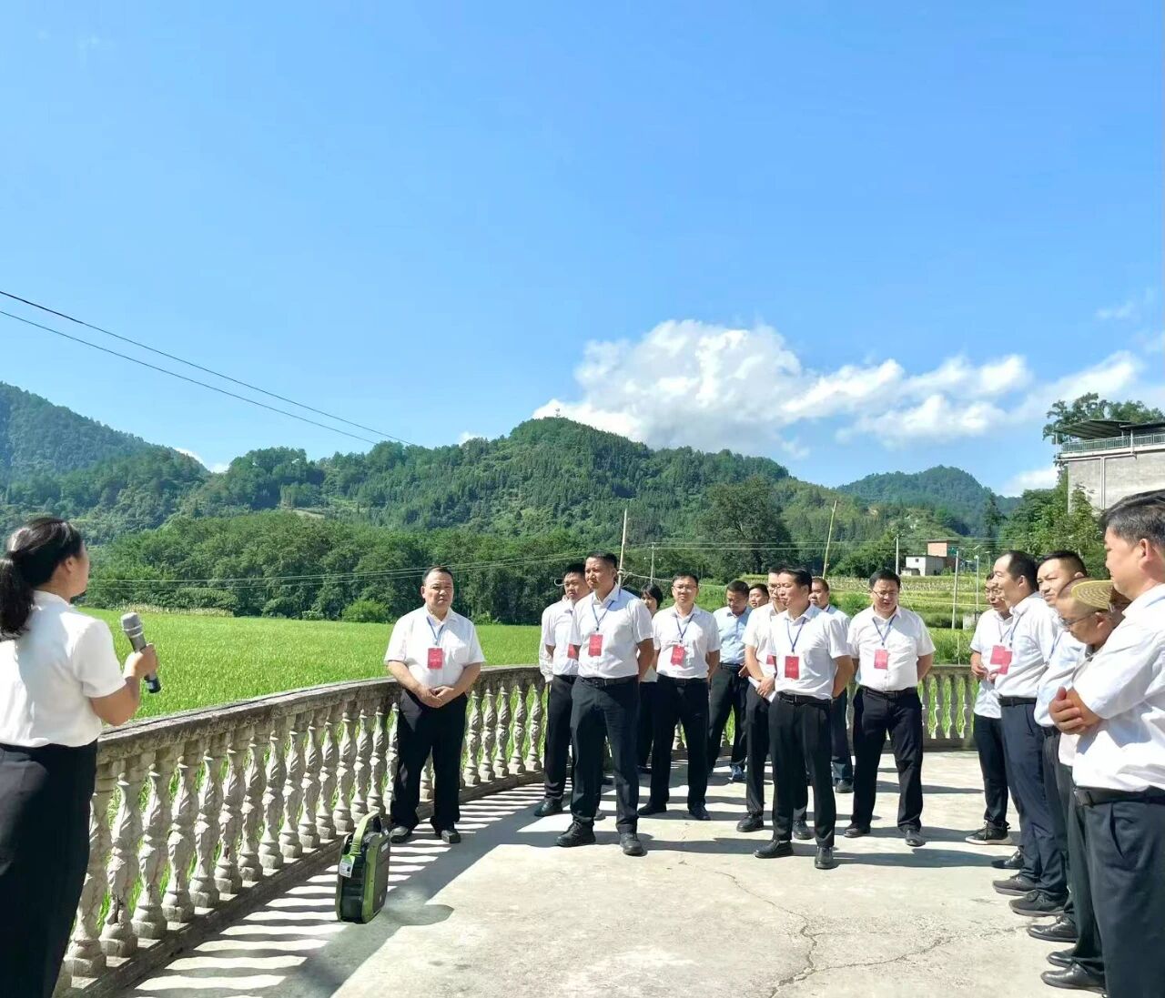 岑巩：人大“问稻” 为民聚力丨记县2025年人大代表视察活动