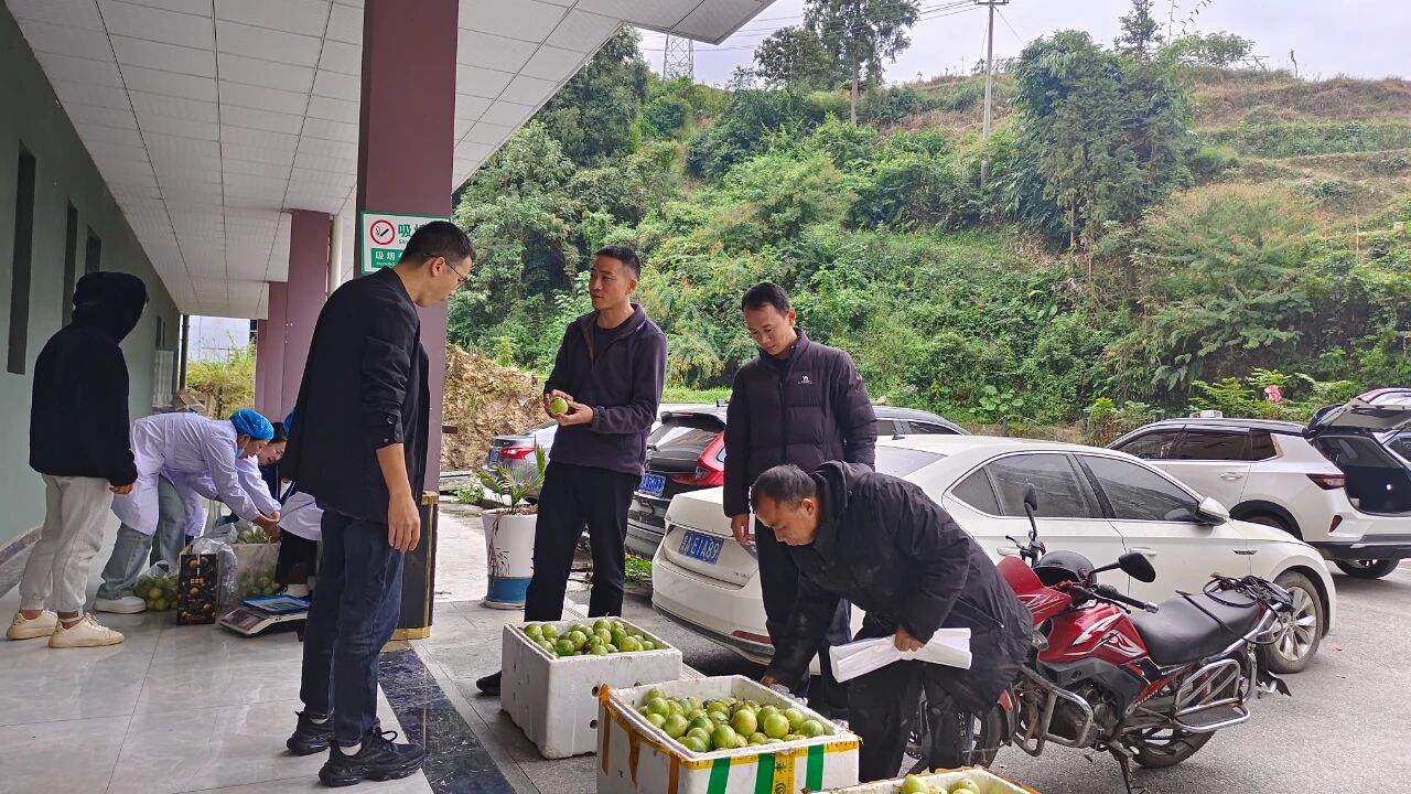 从江：构建助农销售矩阵 激活产业动能助推高质量发展