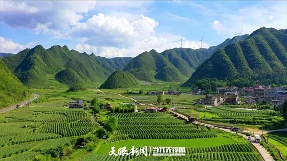 麻江：聚力经营主体培育 书写人大履职答卷